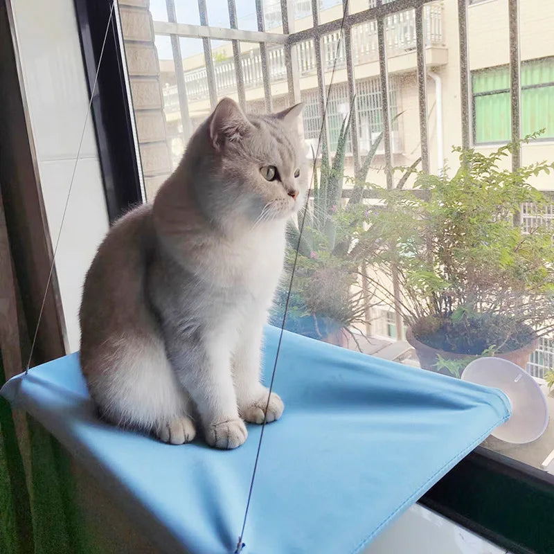 Cat Hanging Hammock - Cat Bed